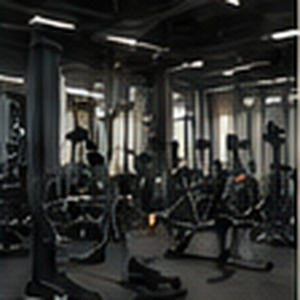 Fitness & Gym